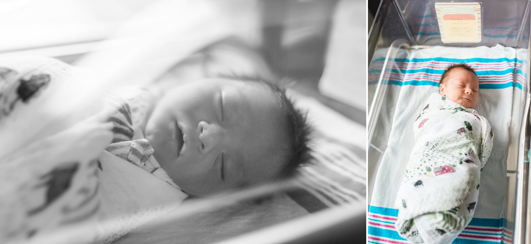 Baby Abram 11