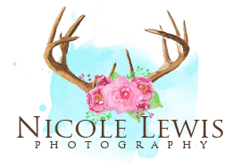 Nicole Lewis Photography logo